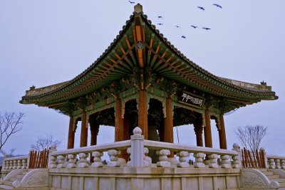 _MG_8938a.jpg