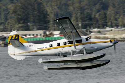 _J0Q3182.JPG