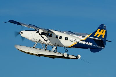 DSC_3501.JPG