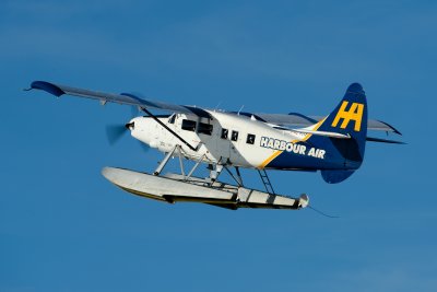DSC_3506.JPG