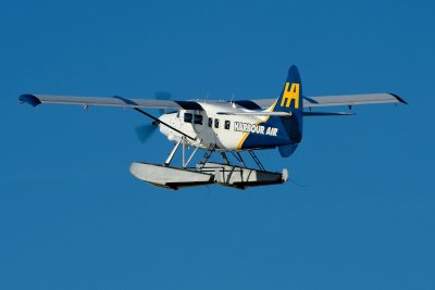 DSC_3512.JPG
