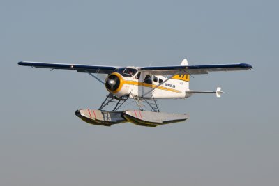 D60_0275.JPG