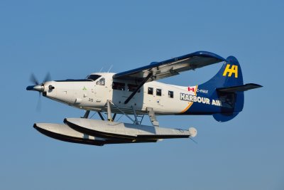 D60_0360.JPG