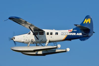 D60_0364.JPG