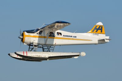 D60_0376.JPG