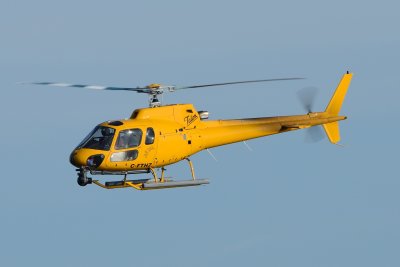 D80_0131.JPG