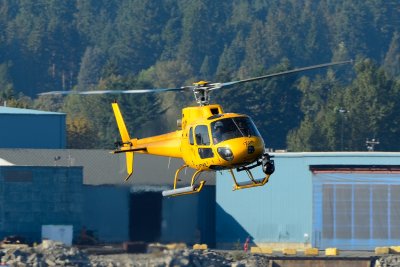 D80_0179.JPG