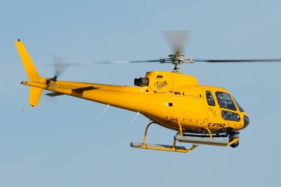 D80_0243.JPG