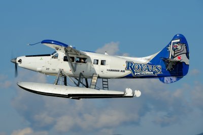 D80_0278.JPG