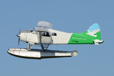 D80_0301.JPG
