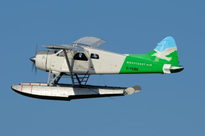 D80_0305.JPG