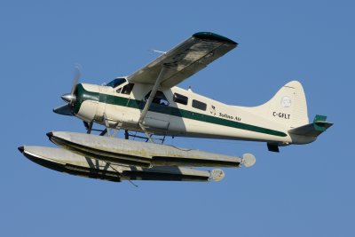 D80_0331.JPG