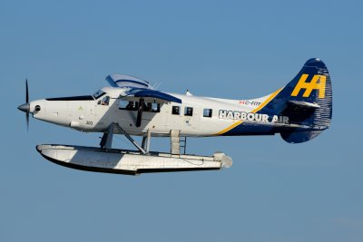 D80_0378.JPG