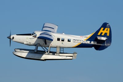 D80_0381.JPG