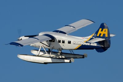 D80_0391.JPG