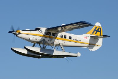 D80_0495.JPG