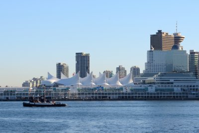D80_0523.JPG