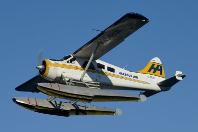 D80_0588.JPG