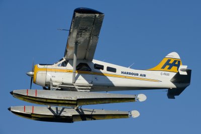 D80_0592.JPG