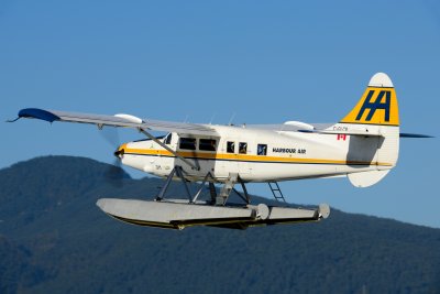 D80_0624.JPG