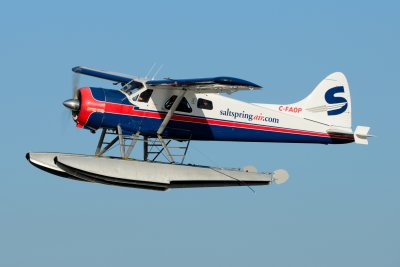 D80_0688.JPG