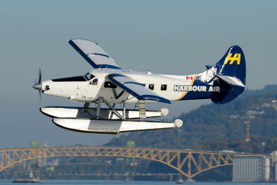 D80_0722.JPG