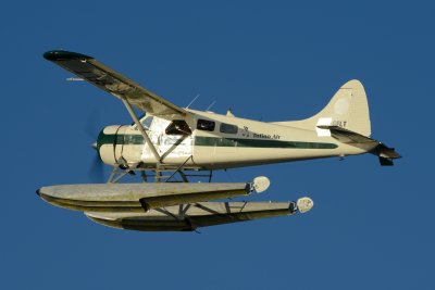 D80_0900.JPG
