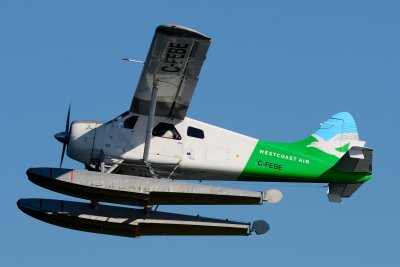 DSC_4518.JPG