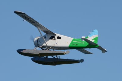 DSC_4526.JPG