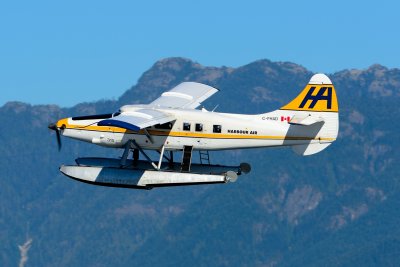 DSC_4569.JPG
