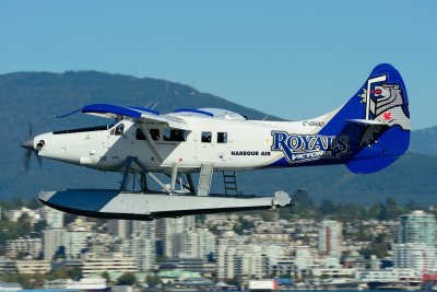 DSC_4662.JPG
