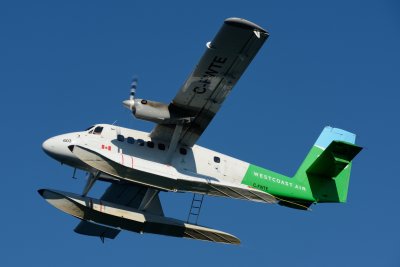 DSC_4724.JPG