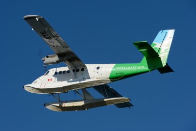 DSC_4729.JPG