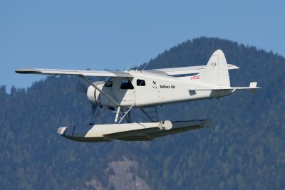 D80_1245.JPG