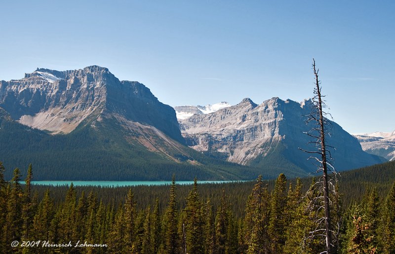 K215425-Icefields Parkway.jpg