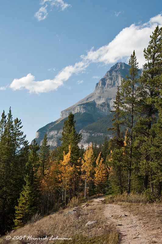 K215882-Icefields Parkway.jpg