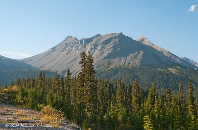 K215951-Icefields Parkway.jpg