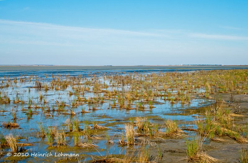 K228280-Salt Marsh.jpg