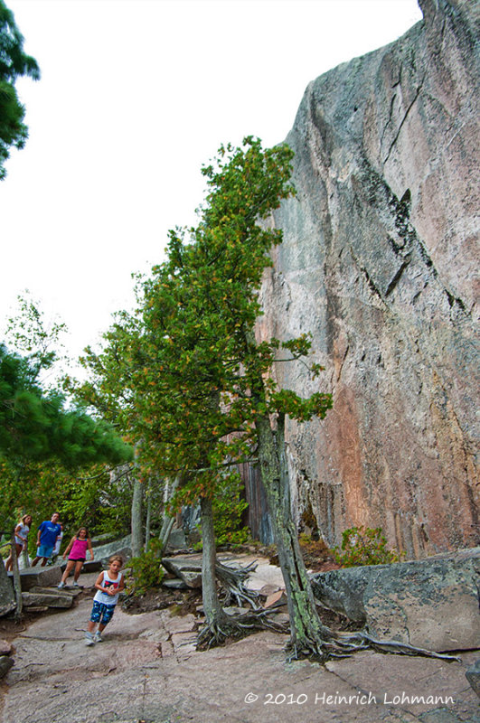 K231394.jpg