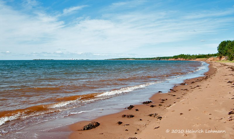 K235250-Cape Bear.jpg