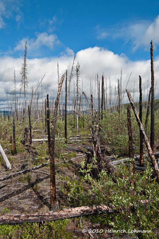 K224435-Fox Lake Fire.jpg