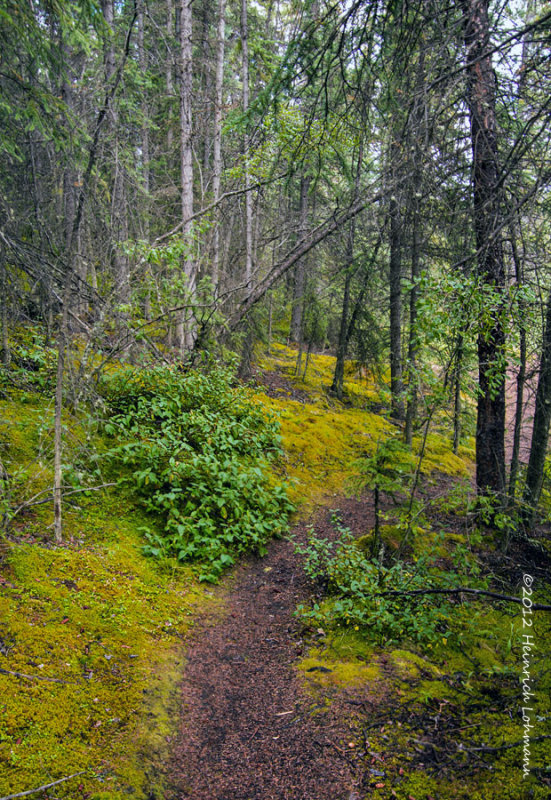 K5G4528-From a hike.jpg