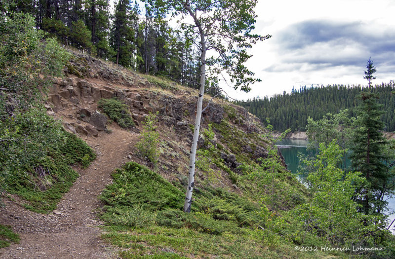 K5G4557-from a hike.jpg