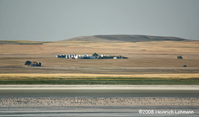 GP0277-Saskatchewan Grainfarm.jpg
