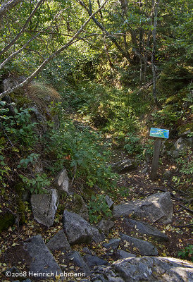 GP1519-trail marker.jpg
