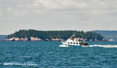 GP3958-Wale watching.jpg