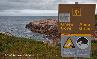 GP5424-Cape Breton Island.jpg