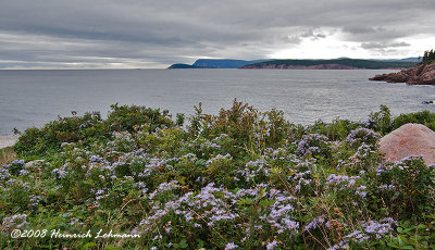 GP5456-Cape Breton Island.jpg