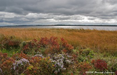 GP9770-Greenwich PEI National Park.jpg