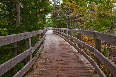 GP9831-Greenwich-PEI National Park.jpg